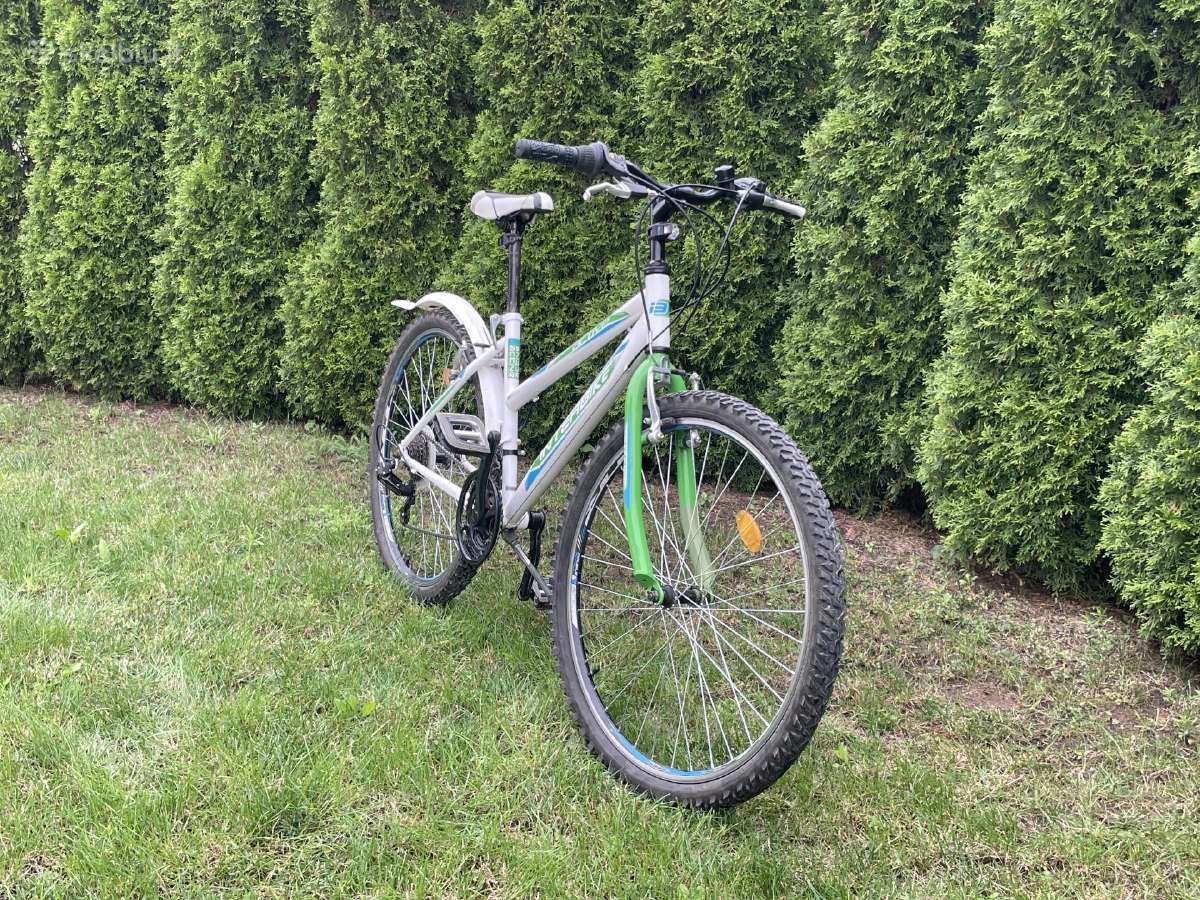 Kalnų dviratis "Interbike" - nuotraukos Nr. 3