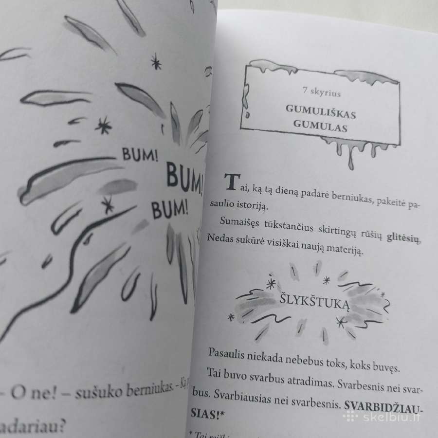 Knyga "Šlykštukas". David Walliams - nuotraukos Nr. 8