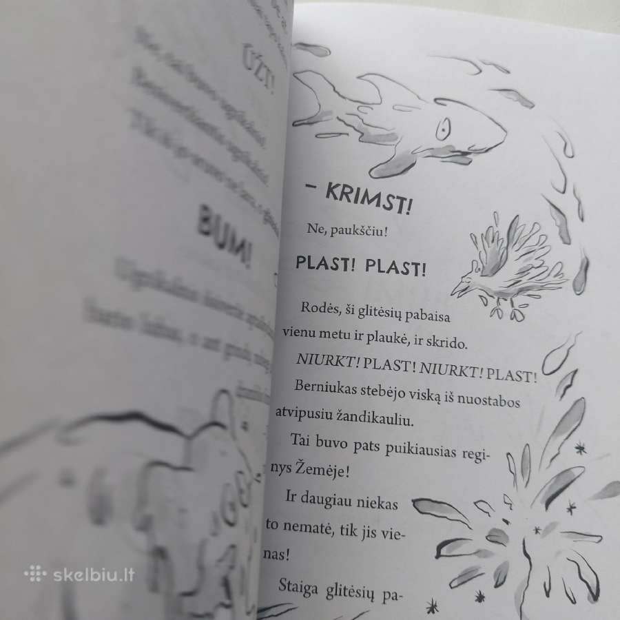 Knyga "Šlykštukas". David Walliams - nuotraukos Nr. 9