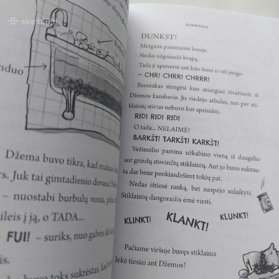 Knyga "Šlykštukas". David Walliams - nuotraukos Nr. 10