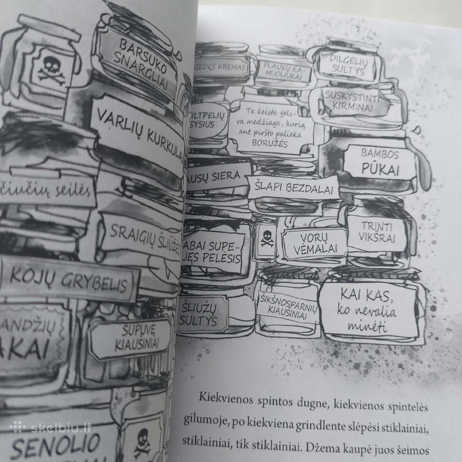 Knyga "Šlykštukas". David Walliams - nuotraukos Nr. 11