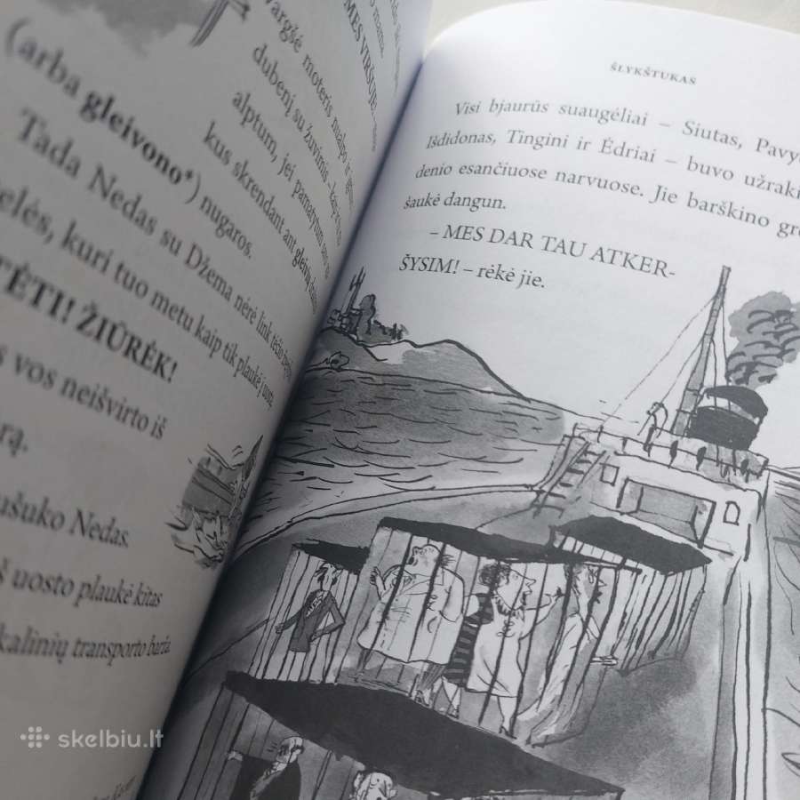 Knyga "Šlykštukas". David Walliams - nuotraukos Nr. 12