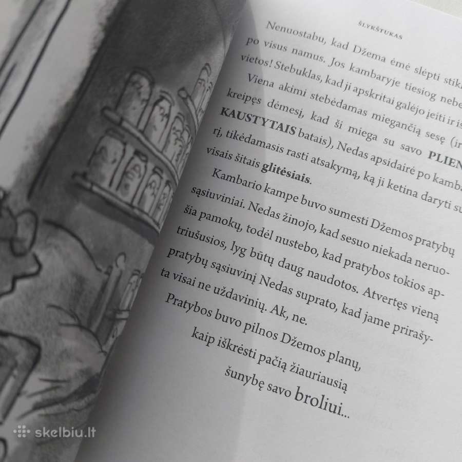 Knyga "Šlykštukas". David Walliams - nuotraukos Nr. 14