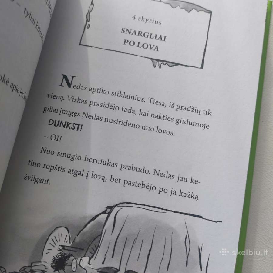 Knyga "Šlykštukas". David Walliams - nuotraukos Nr. 15