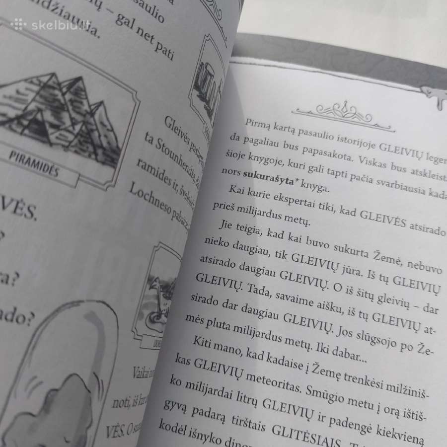 Knyga "Šlykštukas". David Walliams - nuotraukos Nr. 16