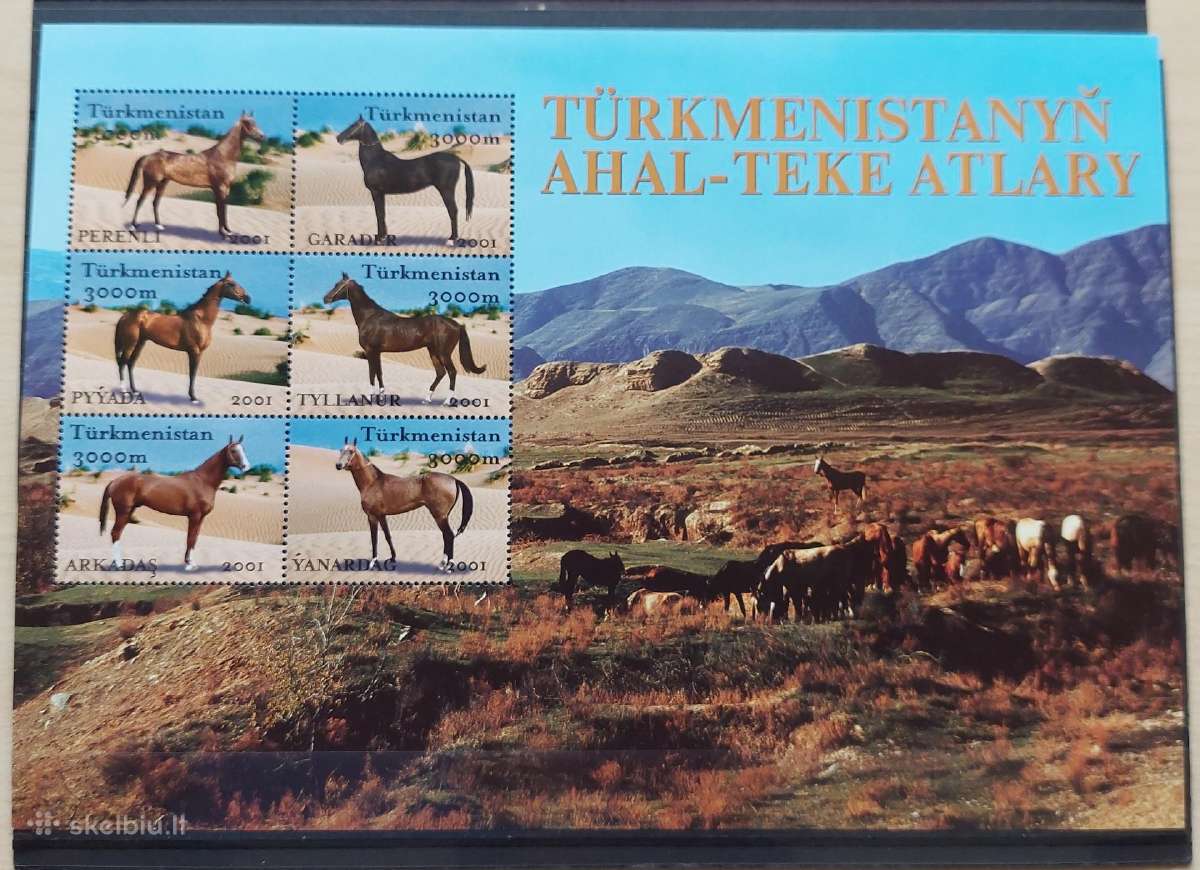 Turkmėnistanas 2001 arkliai, švarus, Michel block9 - nuotraukos Nr. 2