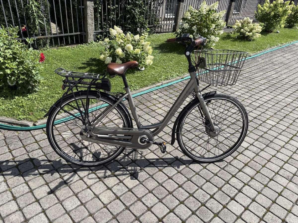 Elektrinis dviratis Batavus Torino