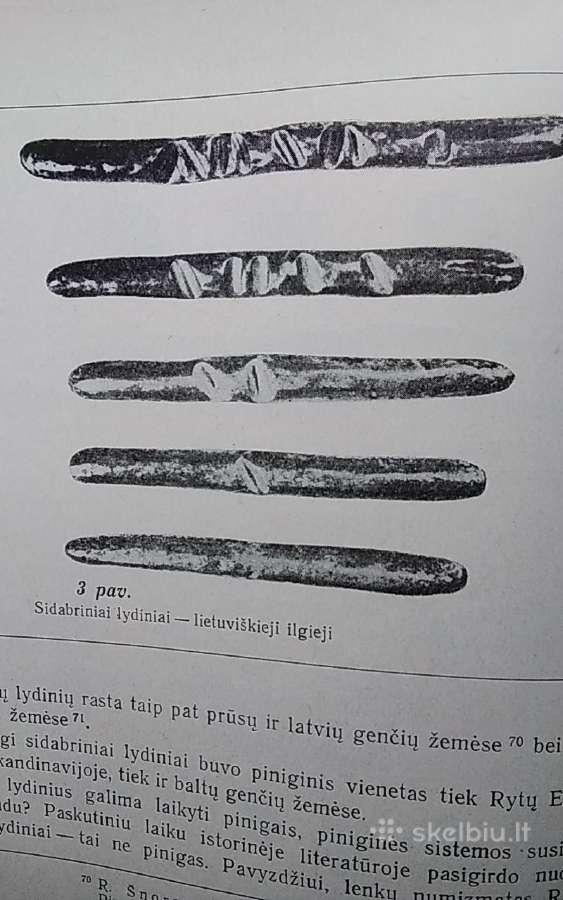 Lietuvos gyventojų prekybiniai ryšiai I-xIII a. - nuotraukos Nr. 9