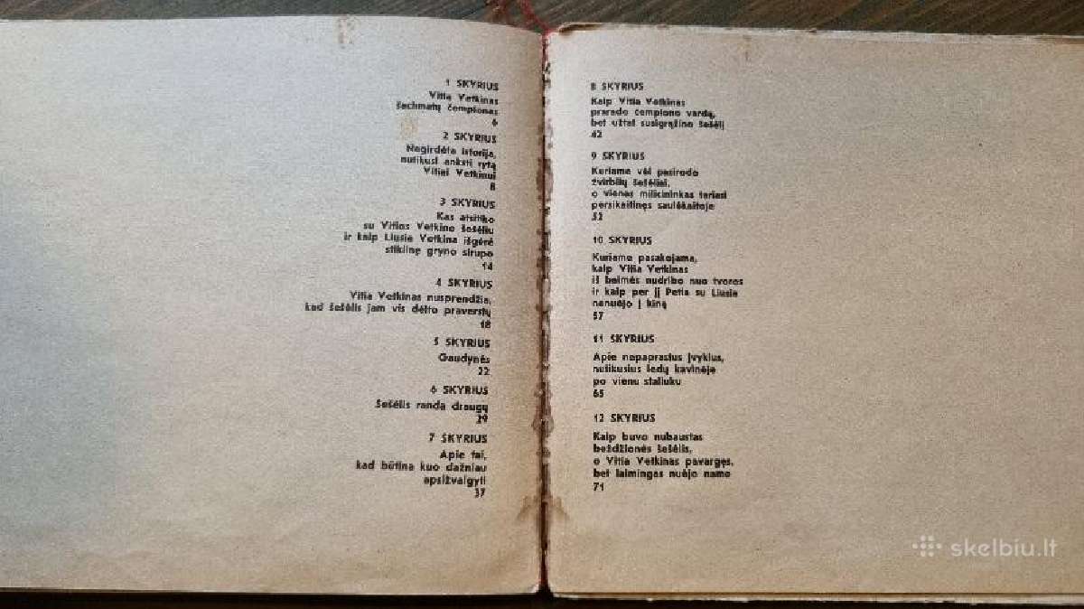 Berniukas be šešėlio - nuotraukos Nr. 6