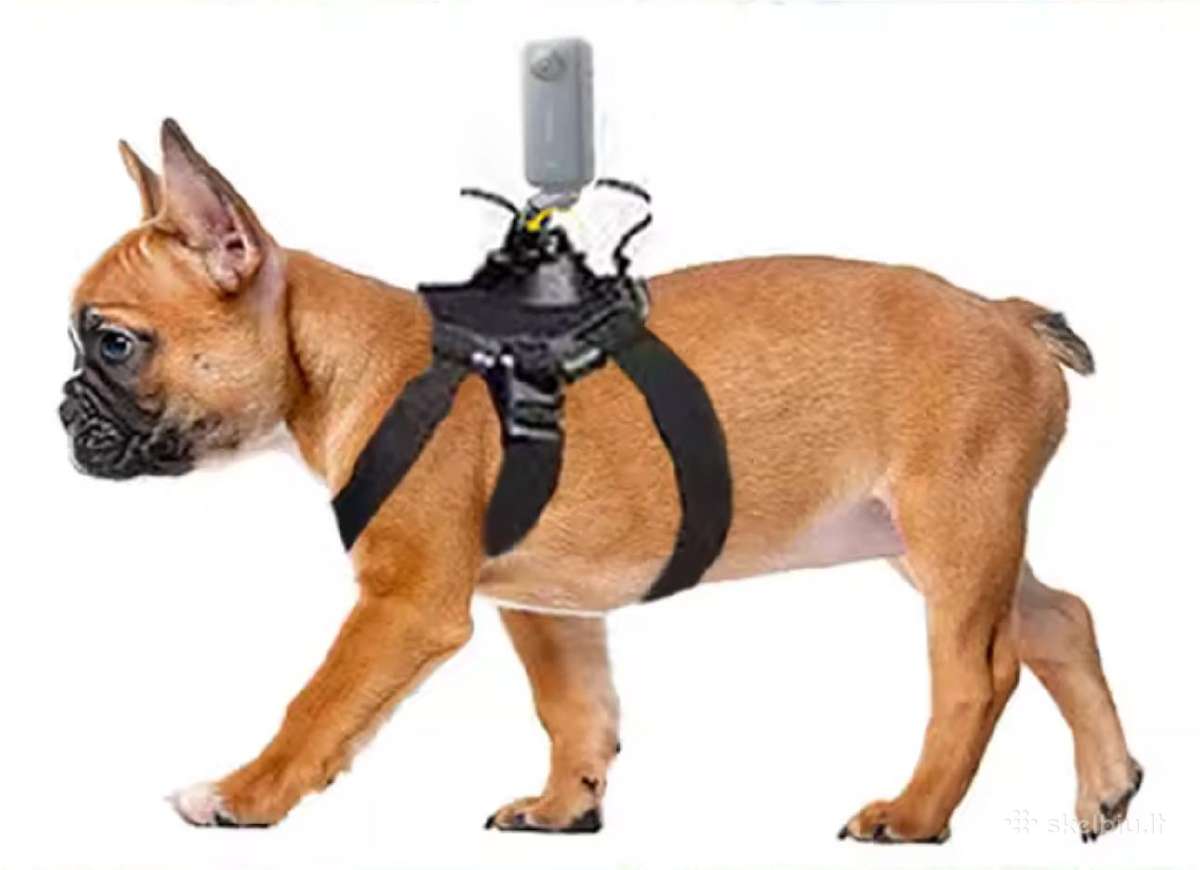Gopro laikiklis šuniui (10–20 kg) – naujas