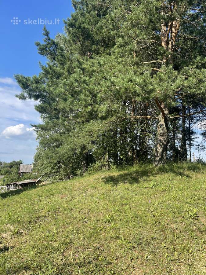 Parduodamas namas Veisiejų sodų bendrijoje - nuotraukos Nr. 13
