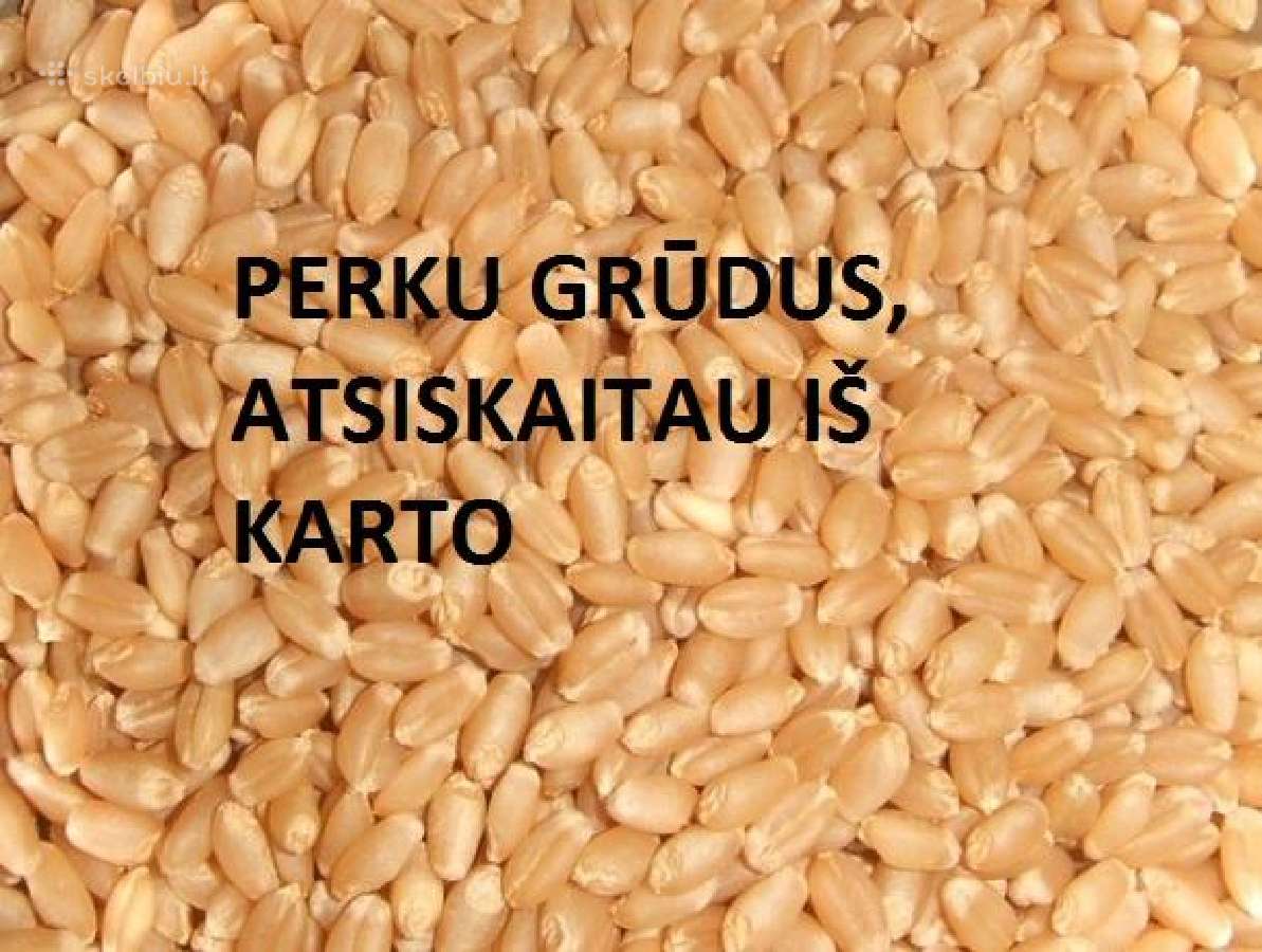 Perku nuolat dideliais kiekiais grūdus