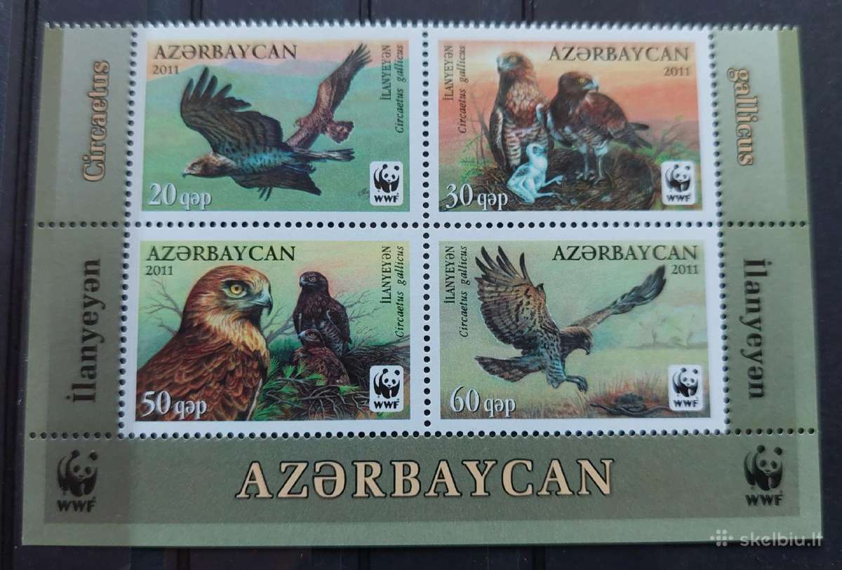 Azerbaidžanas 2011wwf ereliai, švarus, Michel 893a
