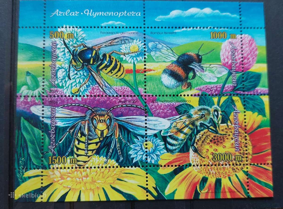 Azerbaidžanas 2005 , vabzdžiai, švarus, Michel blo