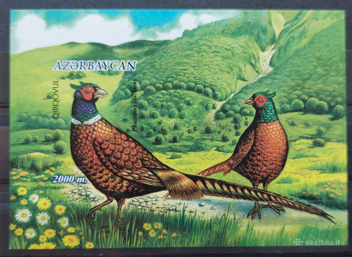 Azerbaidžanas 2000 , fazanai, švarus, Michel block