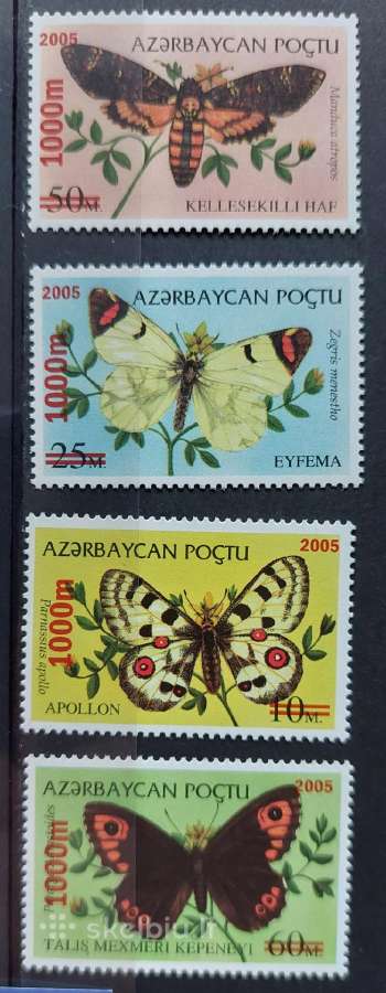 Azerbaidžanas 2005,drugeliai , švarus, Michel 596-