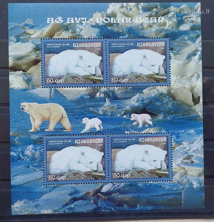 Azerbaidžanas 2007, baltasis lokys, švarus, Michel