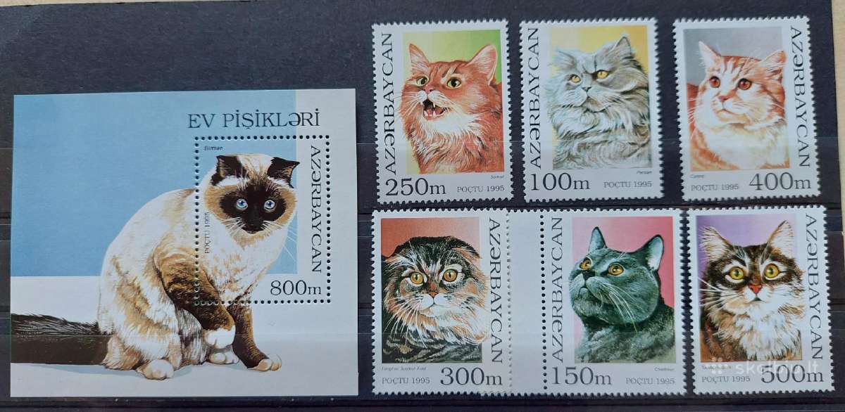Azerbaidžanas 1995, kates, švarus, Michel 262-267b