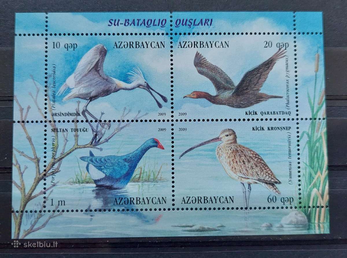 Azerbaidžanas 2009, paukščiai, švarus, Michel bloc
