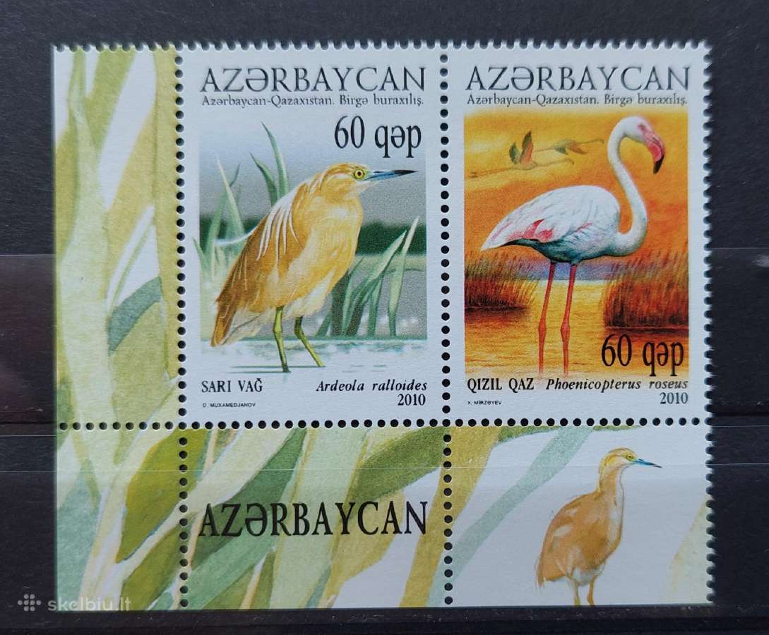 Azerbaidžanas 2010, paukščiai, švarus, Michel 832a