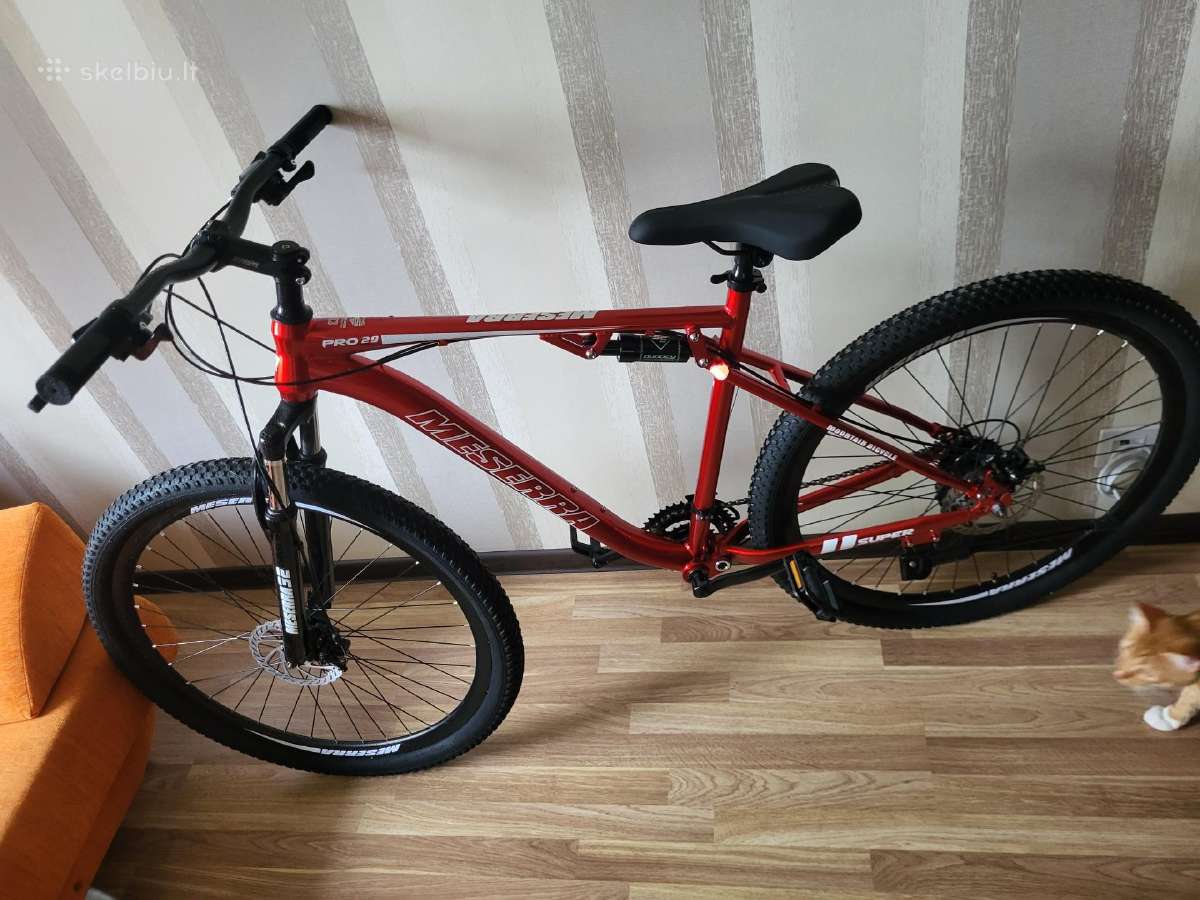 Dviratis naujas masera 29 XL - nuotraukos Nr. 2