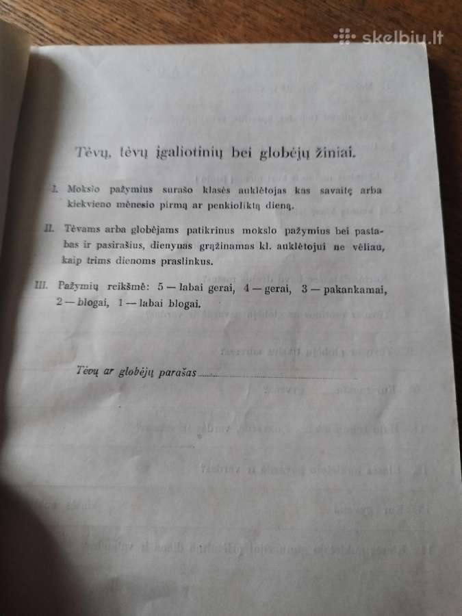 Dienynas 1938/9 - nuotraukos Nr. 7