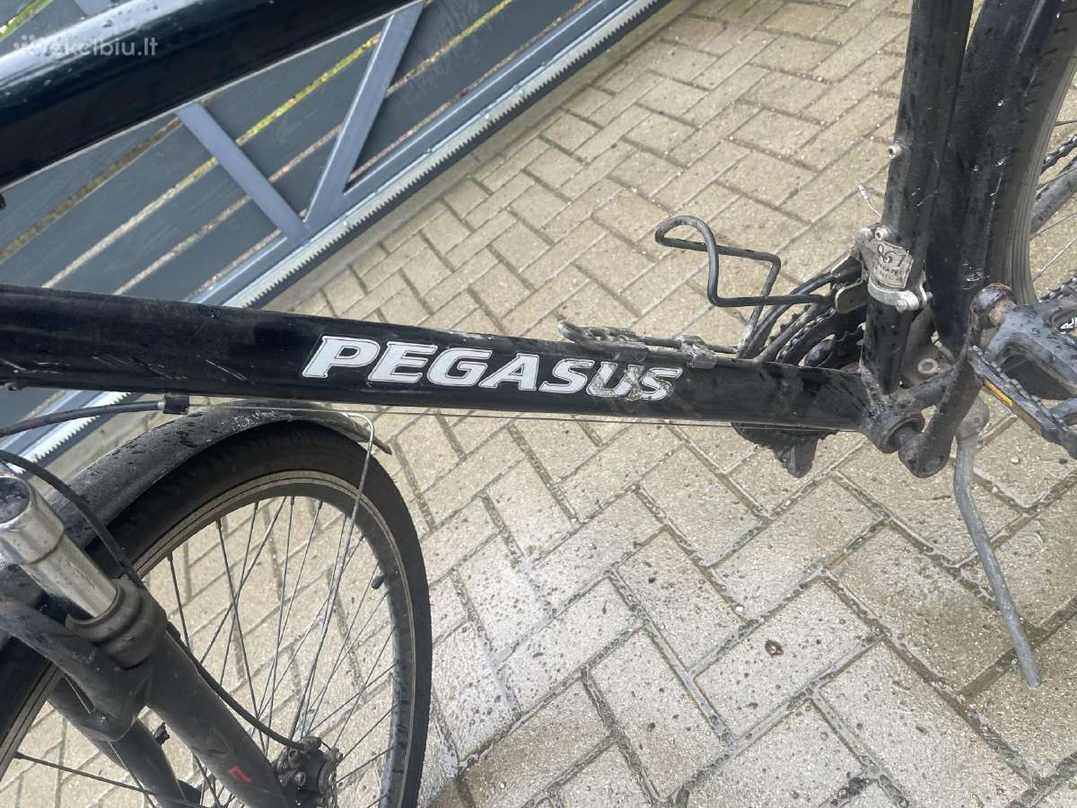 Dviratis Prgasus - nuotraukos Nr. 3