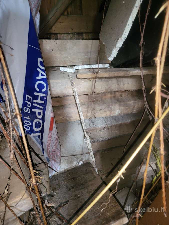 Azuolo,uosio mediena