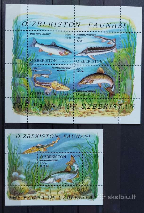 Uzbekistanas 2006 žuvis, švarus, Michel block41,42