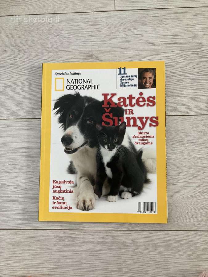 National Geographic leidinys Katės ir šunys