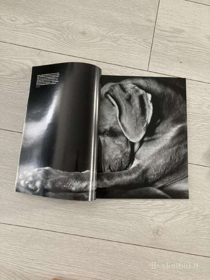 National Geographic leidinys Katės ir šunys - nuotraukos Nr. 2