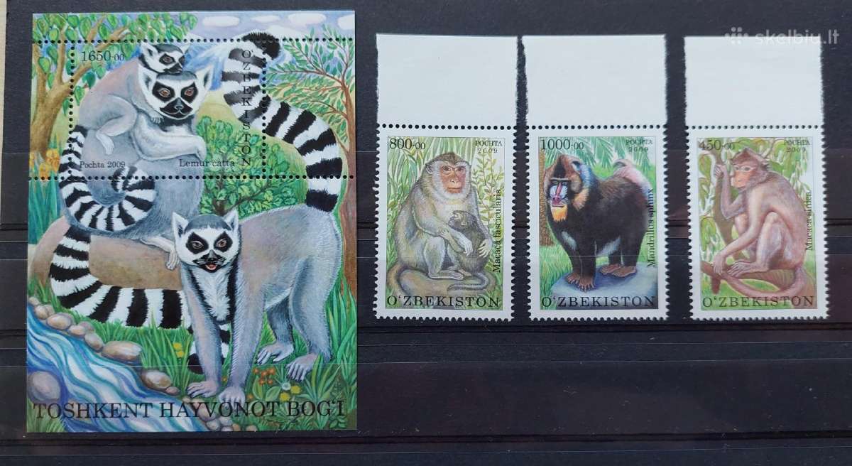 Uzbekistanas 2009 zoologijos sodas, švarus, Michel