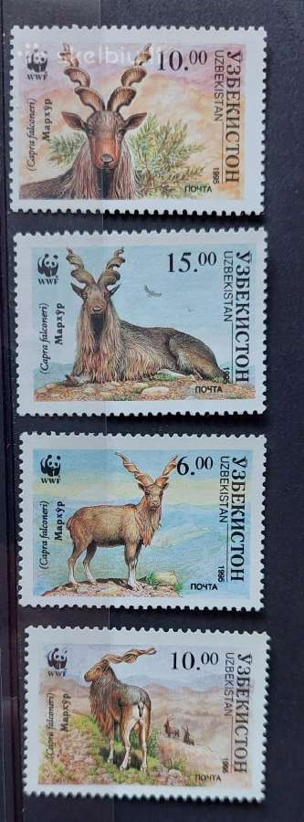 Uzbekistanas 1995 Wwf, švarus, Michel 61-64