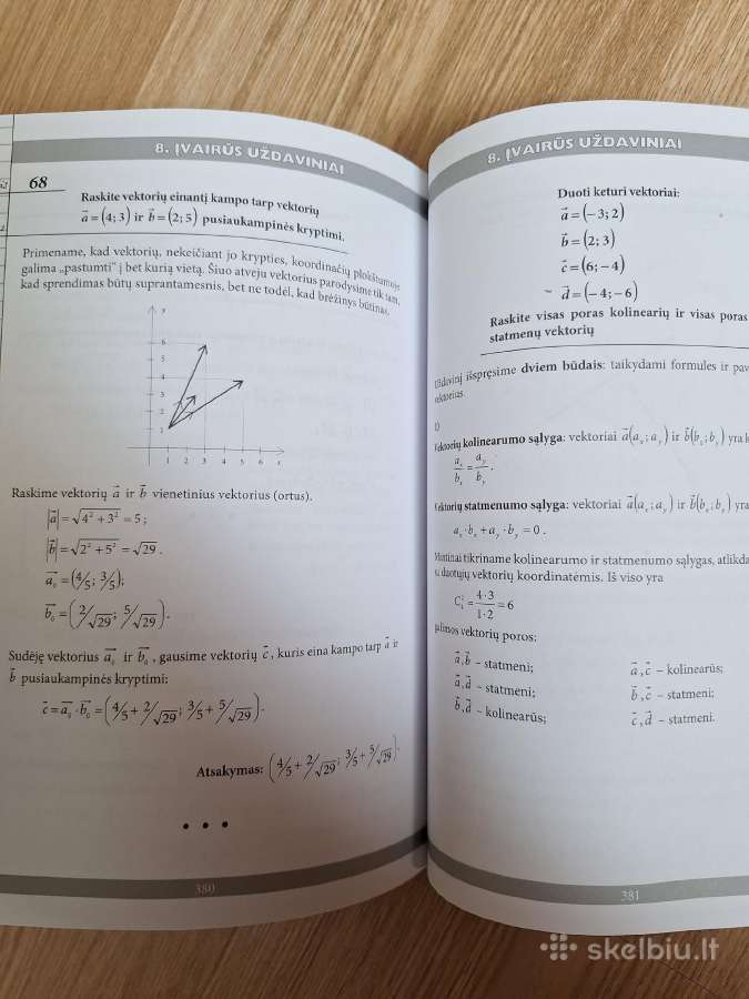 Matematika gimnazistams - nuotraukos Nr. 9