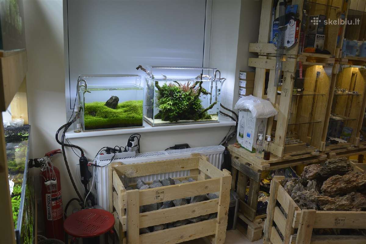 Dekoracijos akvariumų įrengimui - nuotraukos Nr. 3