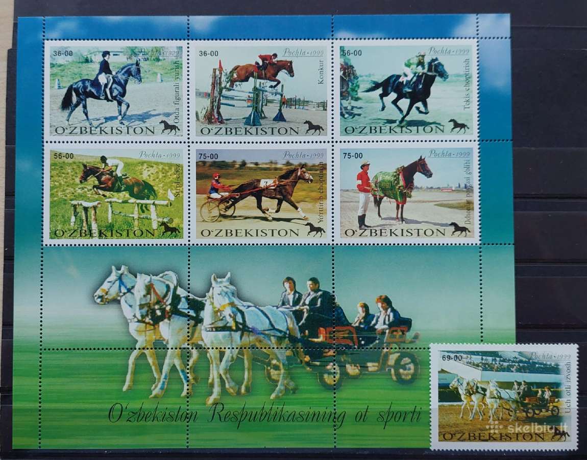 Uzbekistanas 2000 arklių sportas,švarus, Michel 24