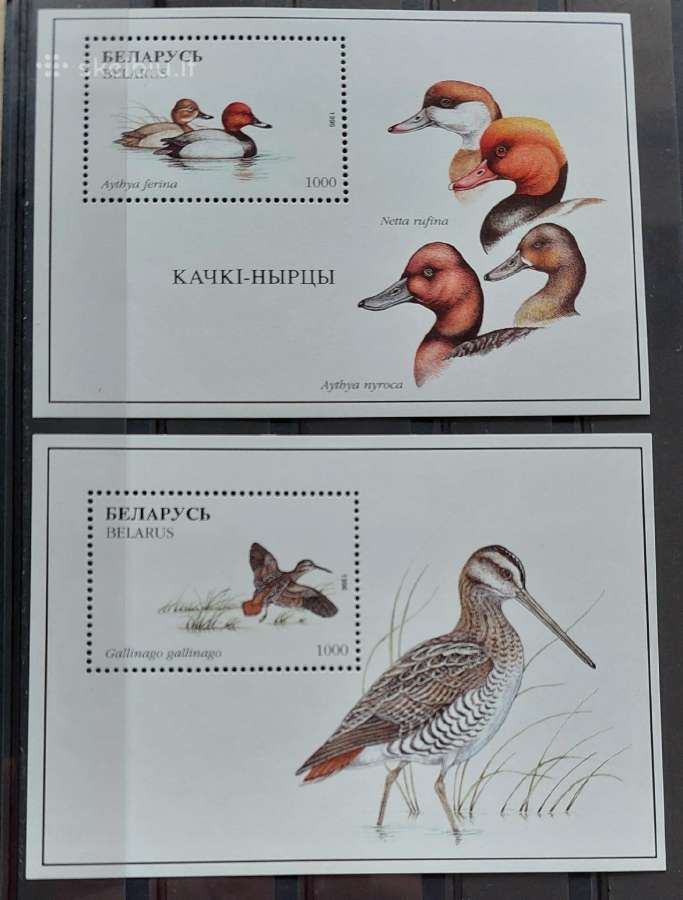 Baltarusija 1996 paukščiai,švarus,michel block12,1