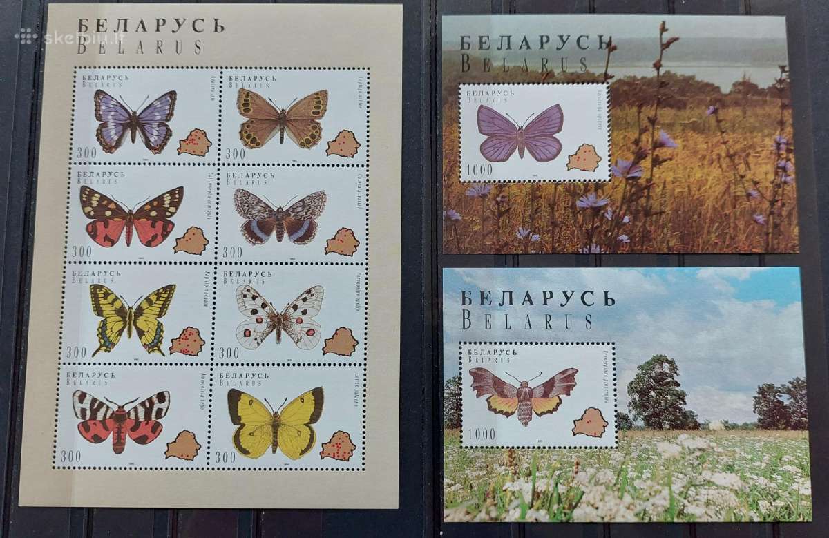 Baltarusija 1996 drugeliai,švarus,michel 123-130 b