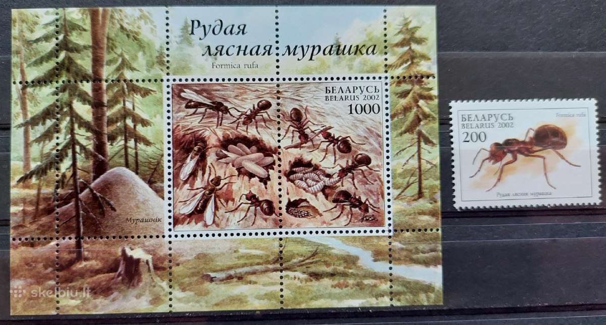 Baltarusija 2002 skruzdėles,švarus, Michel 443bloc