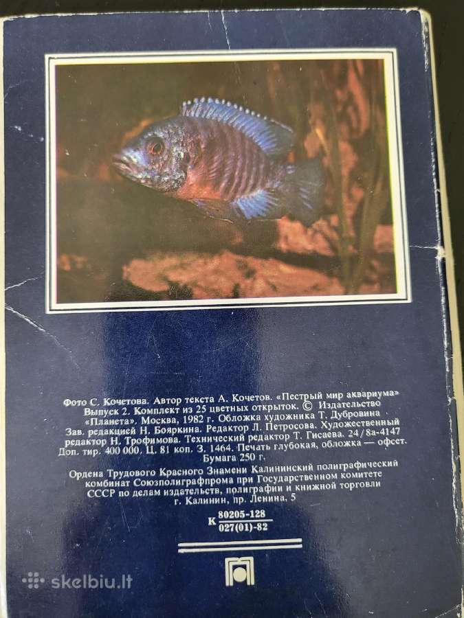 Kolekciniai atvirukai Akvariumo Žuvys - nuotraukos Nr. 2