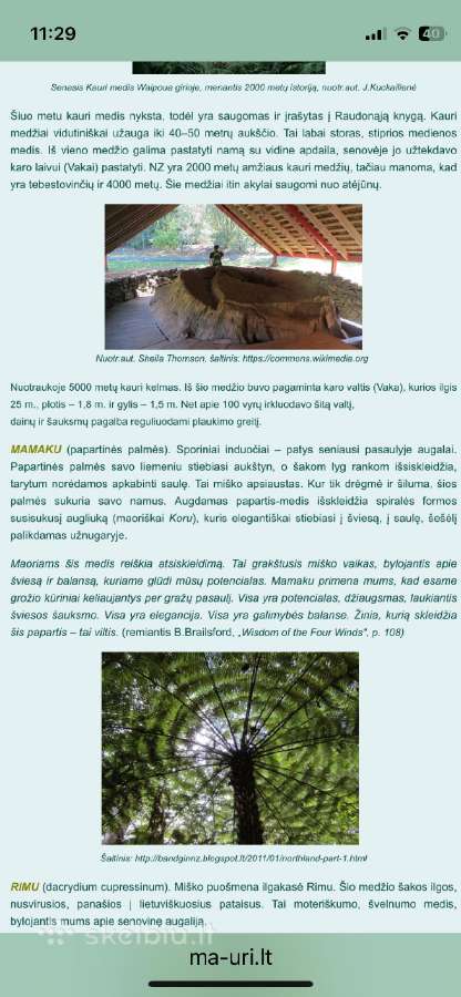 Gal kam i kolekcija - nuotraukos Nr. 9