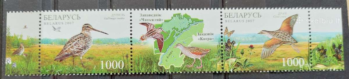 Baltarusija 2007 paukščiai,švarus, Michel 670-671
