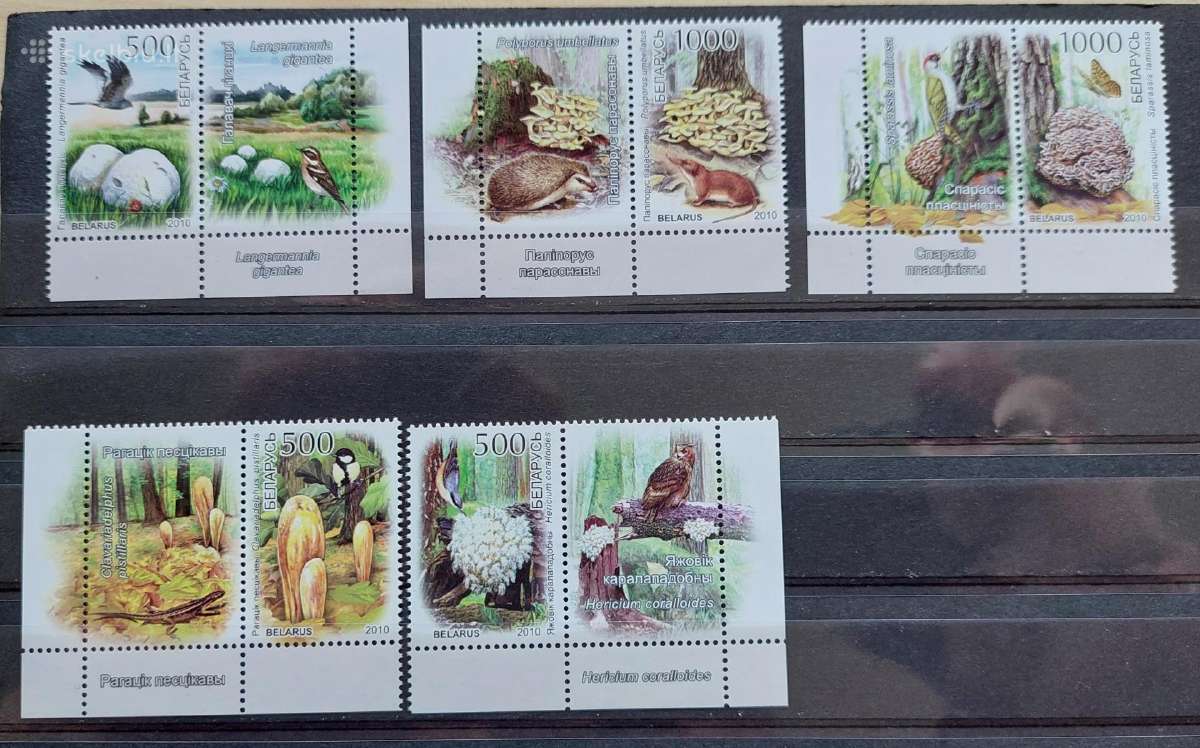 Baltarusija 2010 fauna,švarus, Michel 828-832
