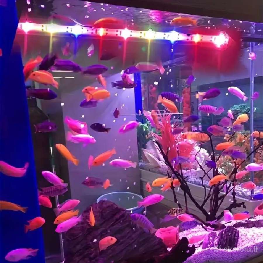 126l akv.su Juwelprimo lux LED 80 dang.,šviestuvai - nuotraukos Nr. 25