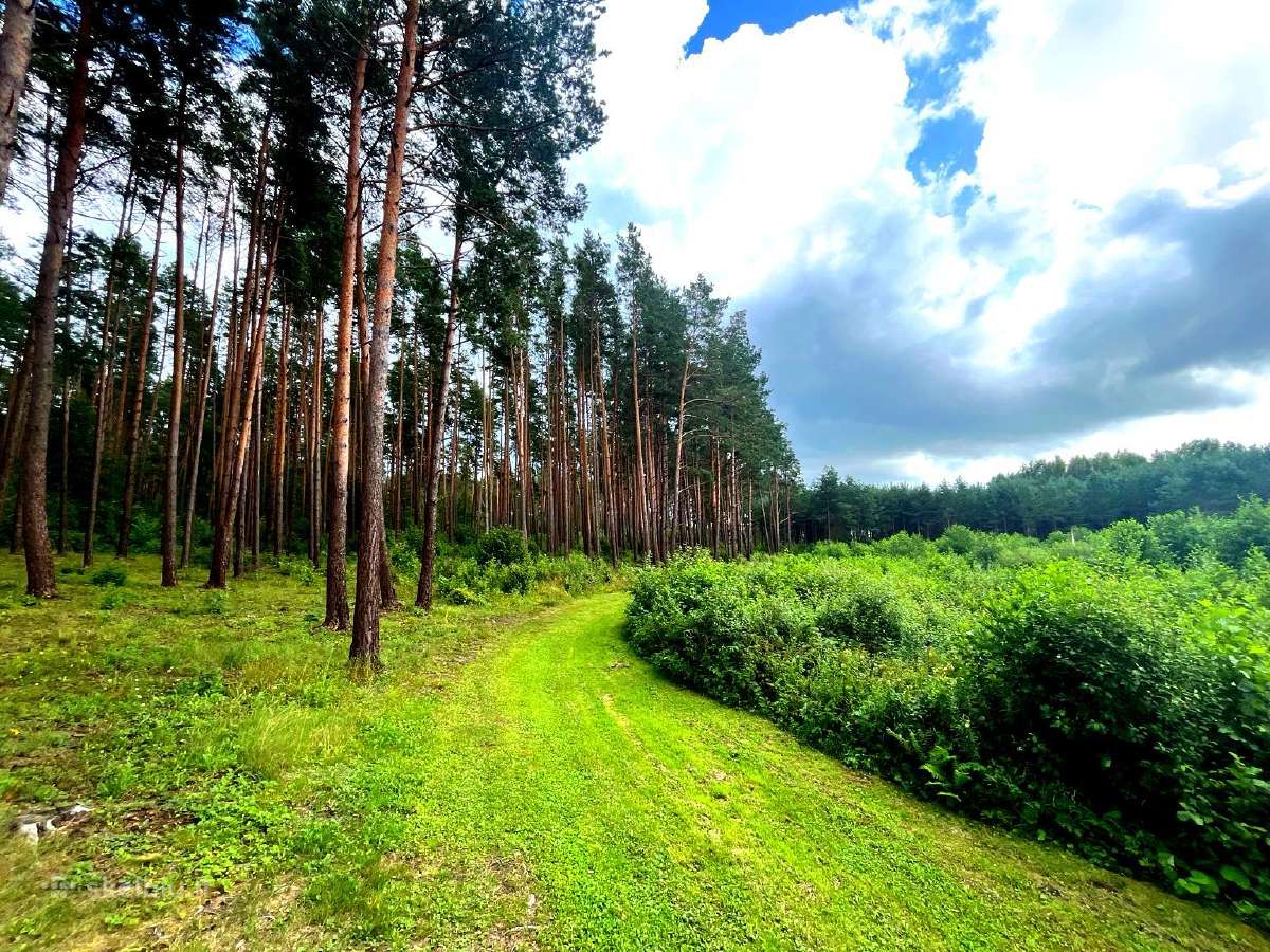 Privati stovyklavietė prie Baltųjų Lakajų - 5ha - nuotraukos Nr. 4