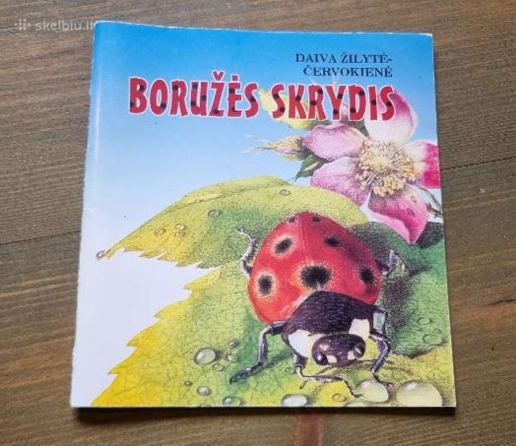 Daiva Žilytė-červokienė "Boružės skrydis"