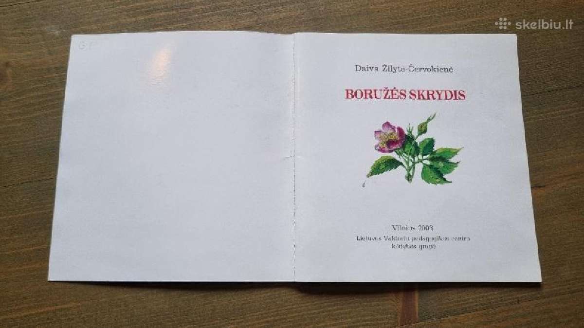 Daiva Žilytė-červokienė "Boružės skrydis" - nuotraukos Nr. 2