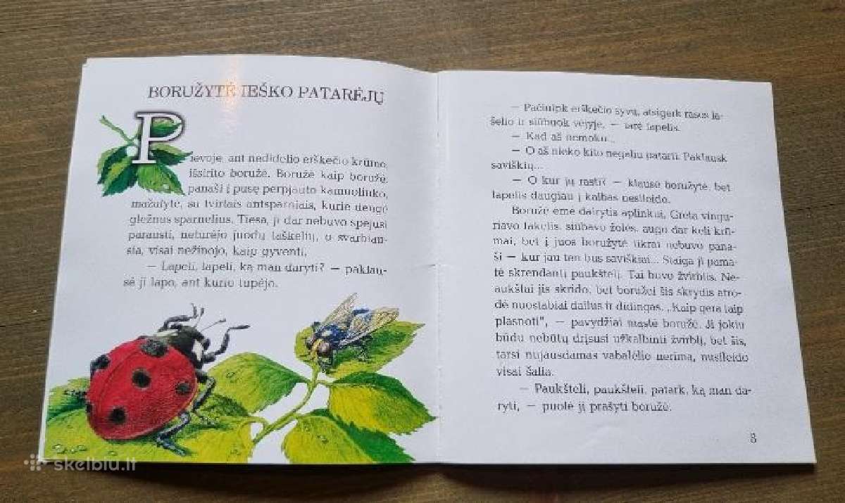 Daiva Žilytė-červokienė "Boružės skrydis" - nuotraukos Nr. 4