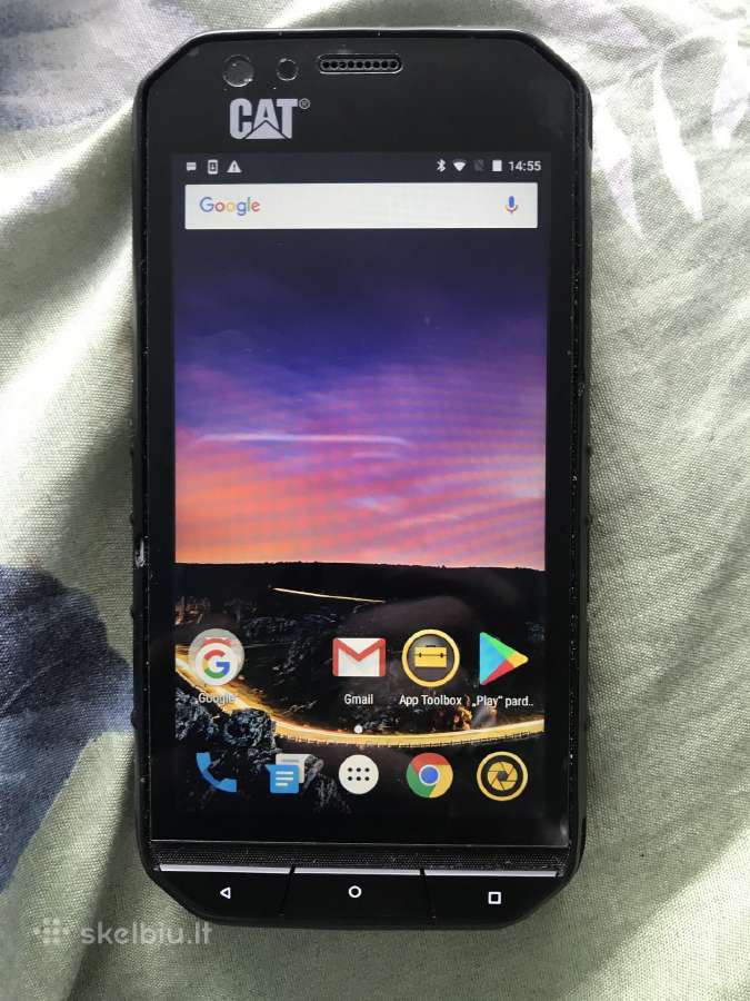 Cat S31
