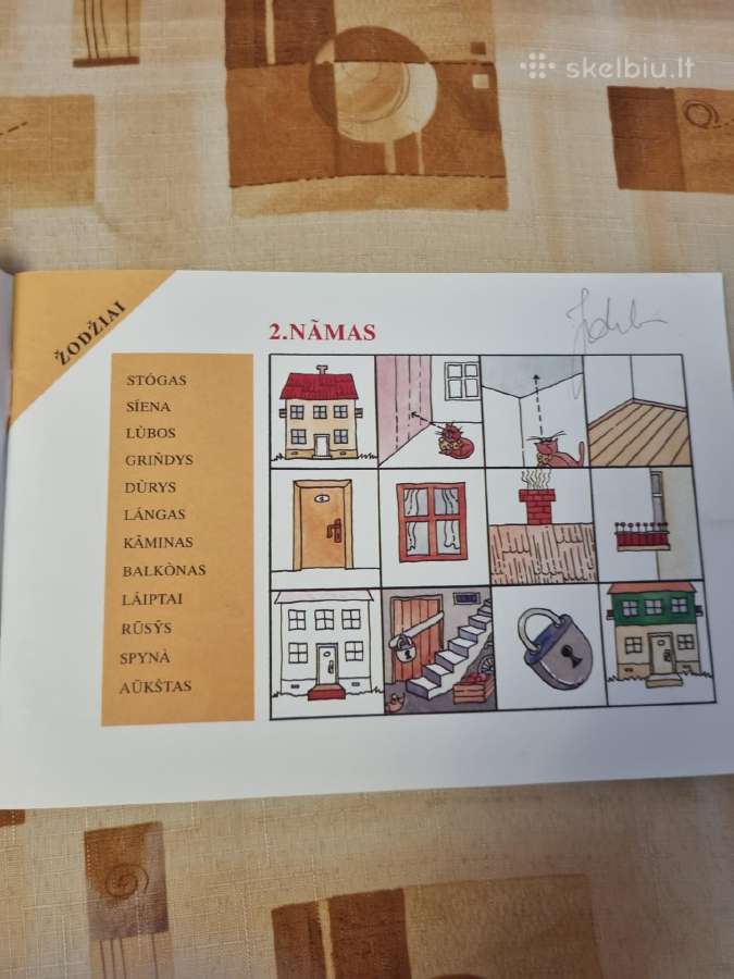 Grupuoti, žiūrėti, paaiškinti, klausti, pavadinti - nuotraukos Nr. 2
